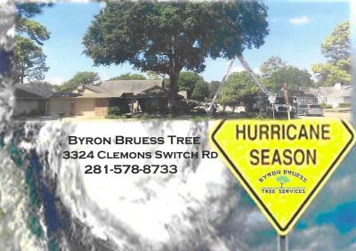 It's Hurricane Season, Time to Trim Your Trees