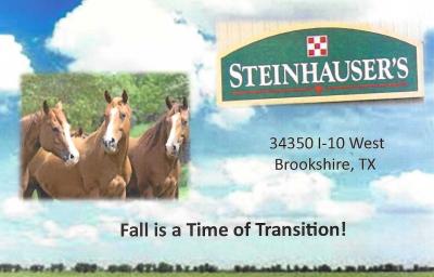 Get Your Horses Ready For Winter