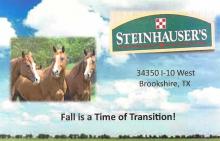 Get Your Horses Ready For Winter