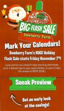 Dewberry Farm's BIG Christmas Flash Sale!