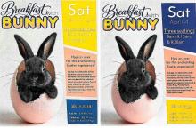 Breakfast with the Easter Bunny 