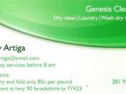 Genesis Cleaners