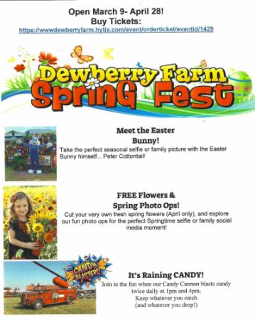 Meet the Easter Bunny, Spring Photo Ops and Raining Candy!