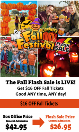 Fall Flash Sale Ends in 4 Days!