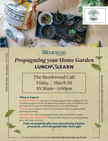 Propagating Your Home Garden