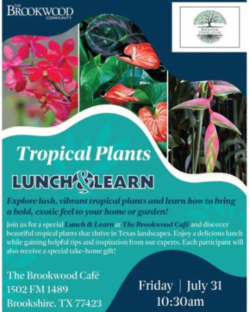 Lunch & Learn about Tropical Plants