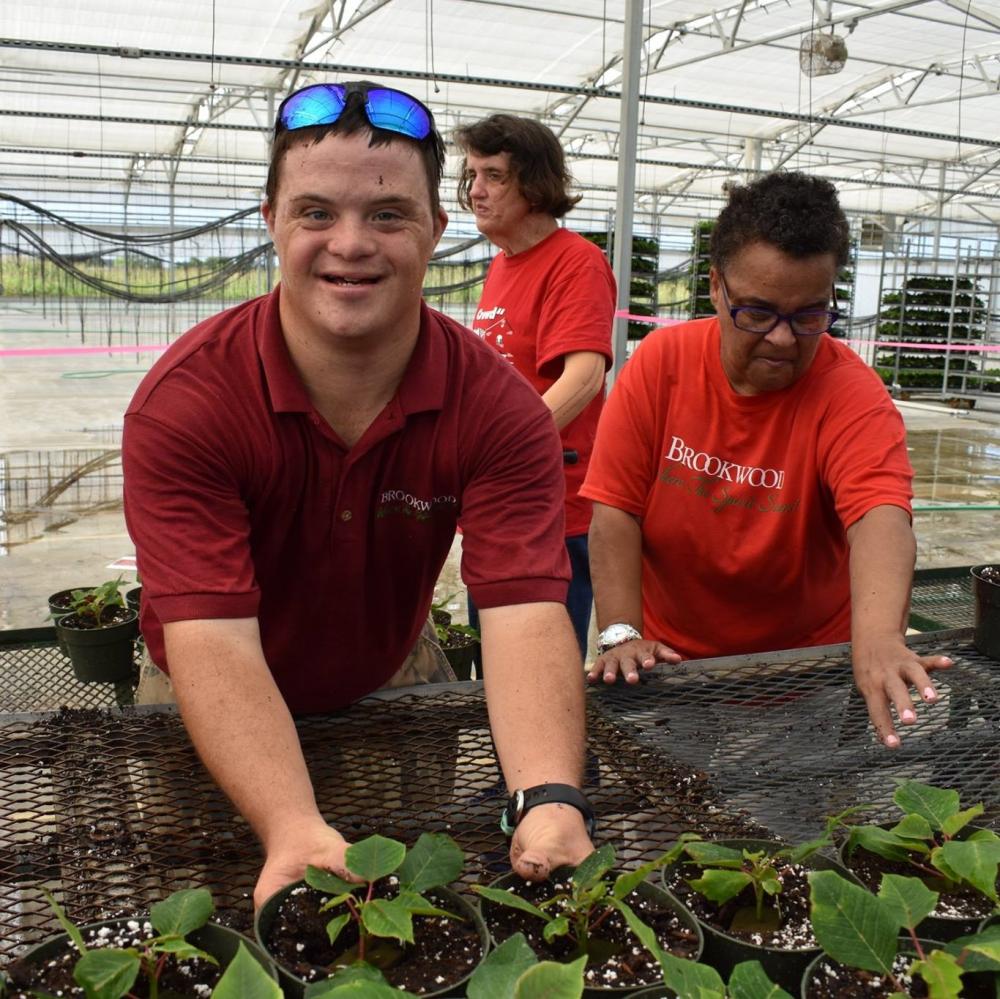 Brookwood Community City of Brookshire, Texas