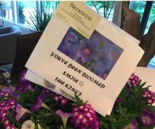 Brookwood Community helping adults with disabilities stay active amid COVID-19 crisis