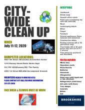 Citywide Clean Up