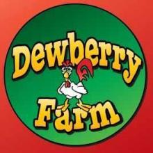 ABC13 featured Brookshire’s own pumpkin patches / Dewberry Farm