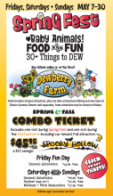 Dewberry Farm / Spring Fest 