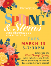 Celebrate the First Day of Spring with Brookwood Horticulture