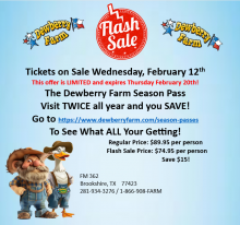 Dewberry Farm Flash Sale!