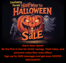 Halfway to Halloween Sale!