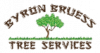 Byron Bruess Tree